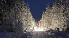 Tukkirekka menossa jakemaan puukuormaa kiistellyltä Aalistunturin seudun hakkuualueelta alkuillasta.