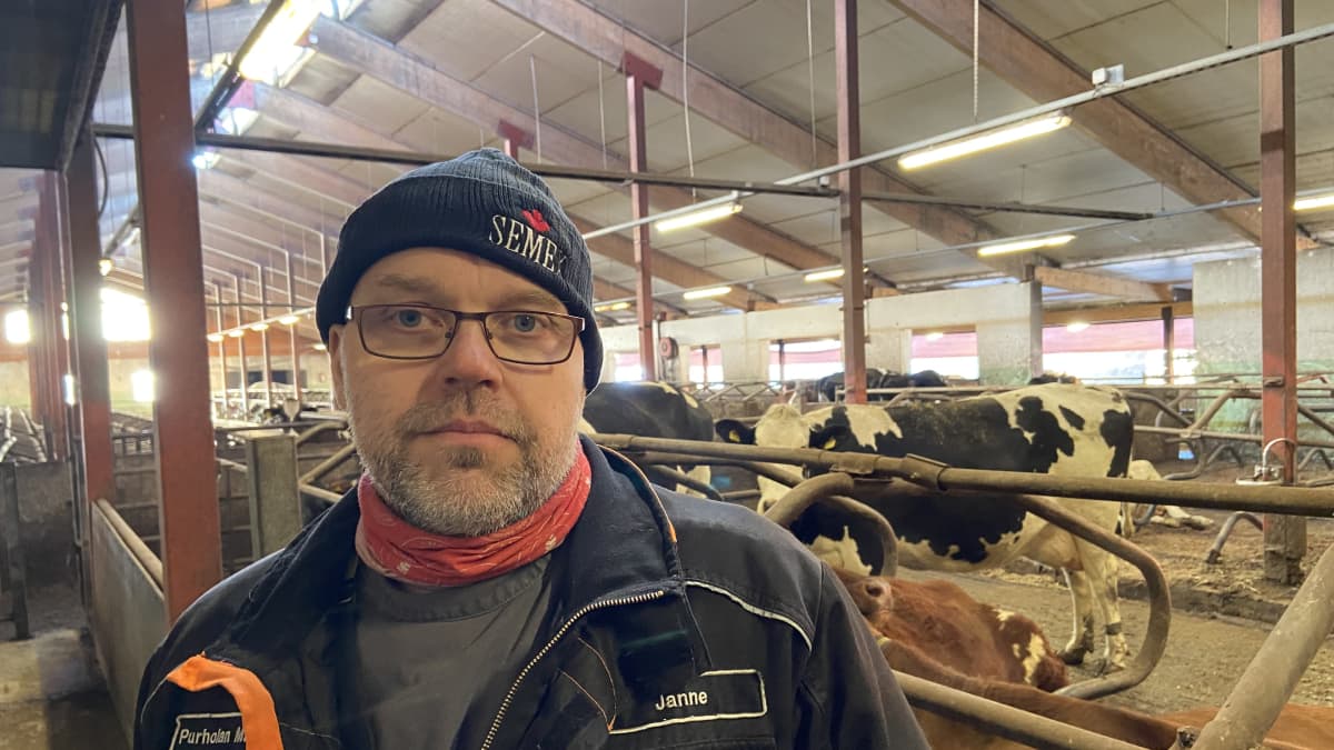 Maatalousyrittäjä Janne Puttonen vakavan näköisenä kuvattuna navetassa. 