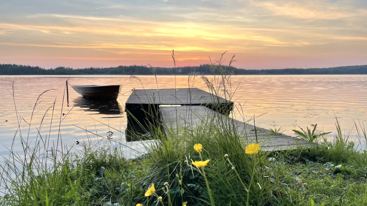 Kesäaamu Kaarinassa. Aamuruskoa järven rannalla, laituri, vene ja rannan kukkia. 