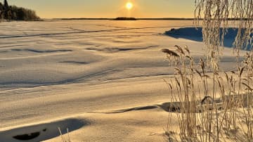 Aurinkoinen talvipäivä Vaasassa. Meren rantaa, heinikkoa ja lunta sekä jäätä. 