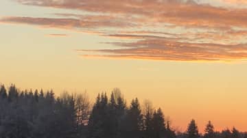 Auringonnousu Kajaanissa. Puita ja pilvenhattaraa aamuruskon värittämänä.
