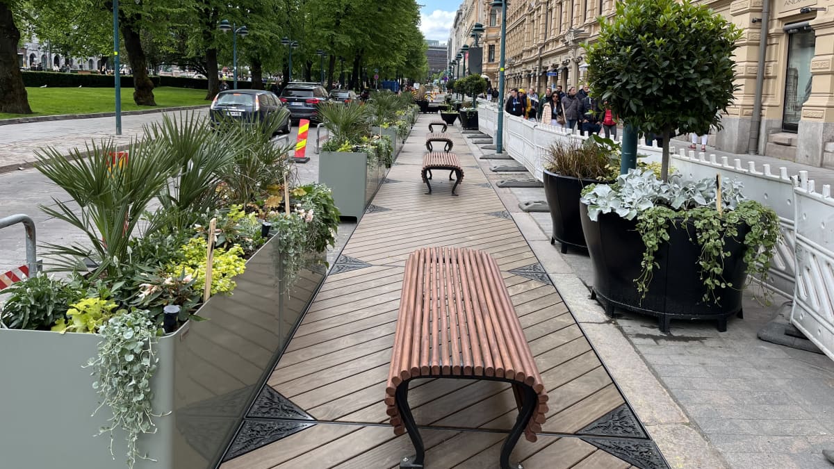Helsingin esplanadin kesäpalmuja ruukussa.
