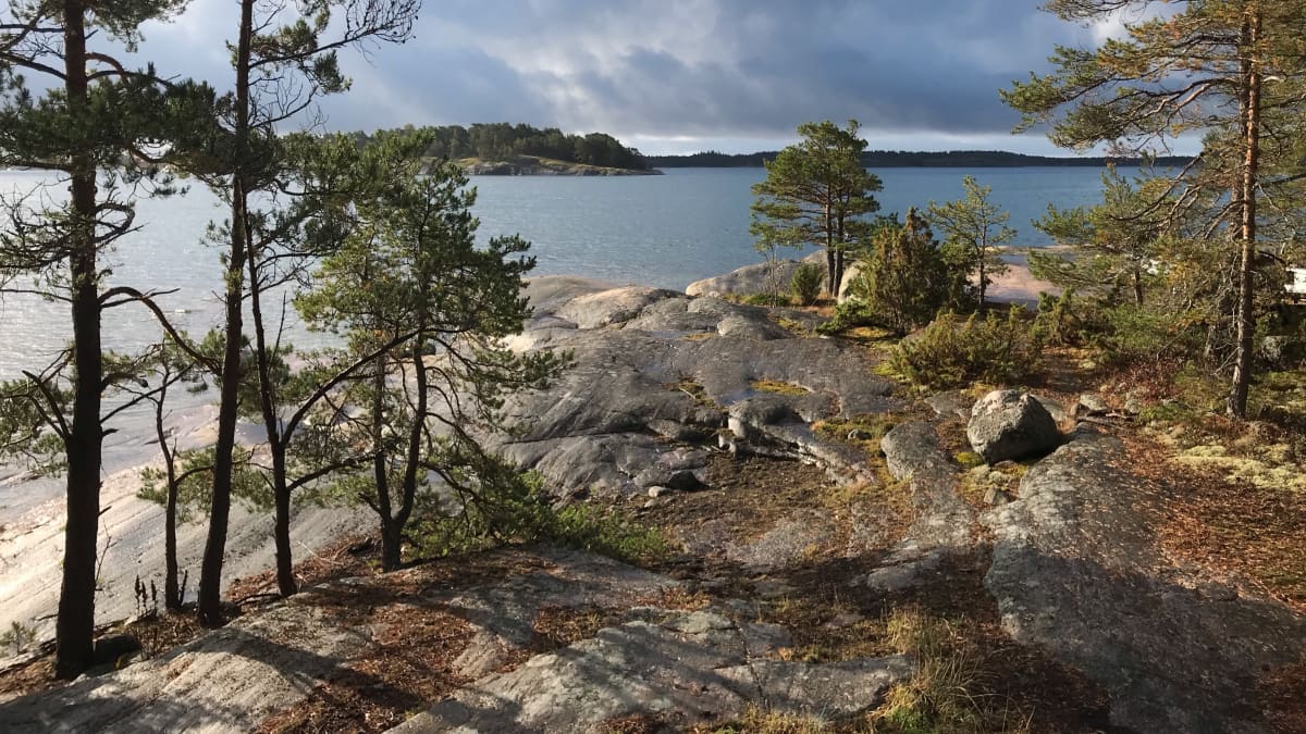 Elokuinen maisema Saaristomereltä. Merimaisemaa kalliolta kuvattuna.