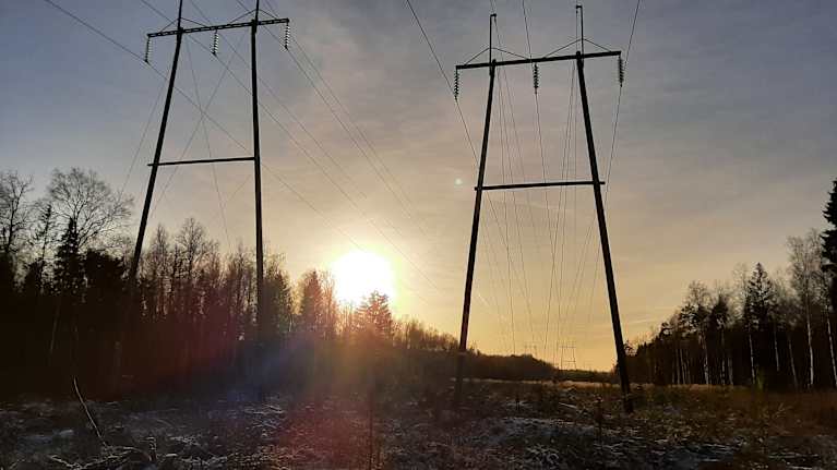 Kratledning i solnedgång.