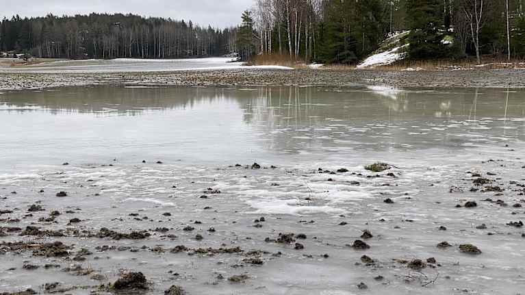 Våt och isig åker i Pemar.