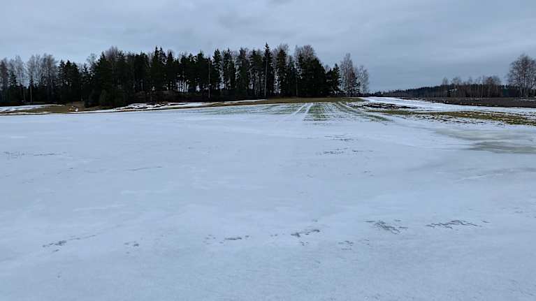 Snöig och isig åker i Kimitoön.