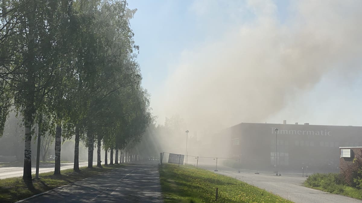 Savua levinneenä tehdasalueen lähistöllä koko Tesoman ympäristöön.