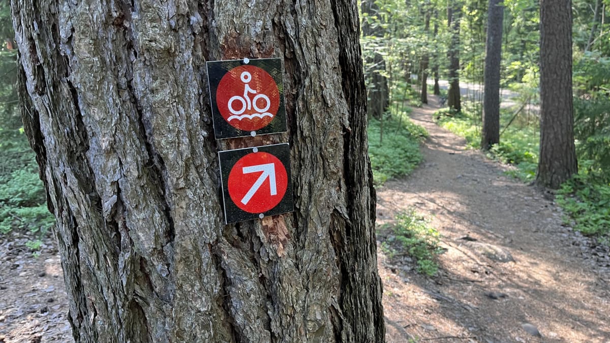 Helsingin keskuspuiston uuden maastopyöreitin opasteita kiinnitettyinä reitin puiihin.