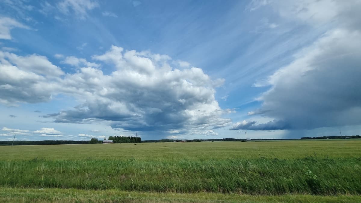 Kuvassa näyy peltomaisema ja sadekuuroja.
