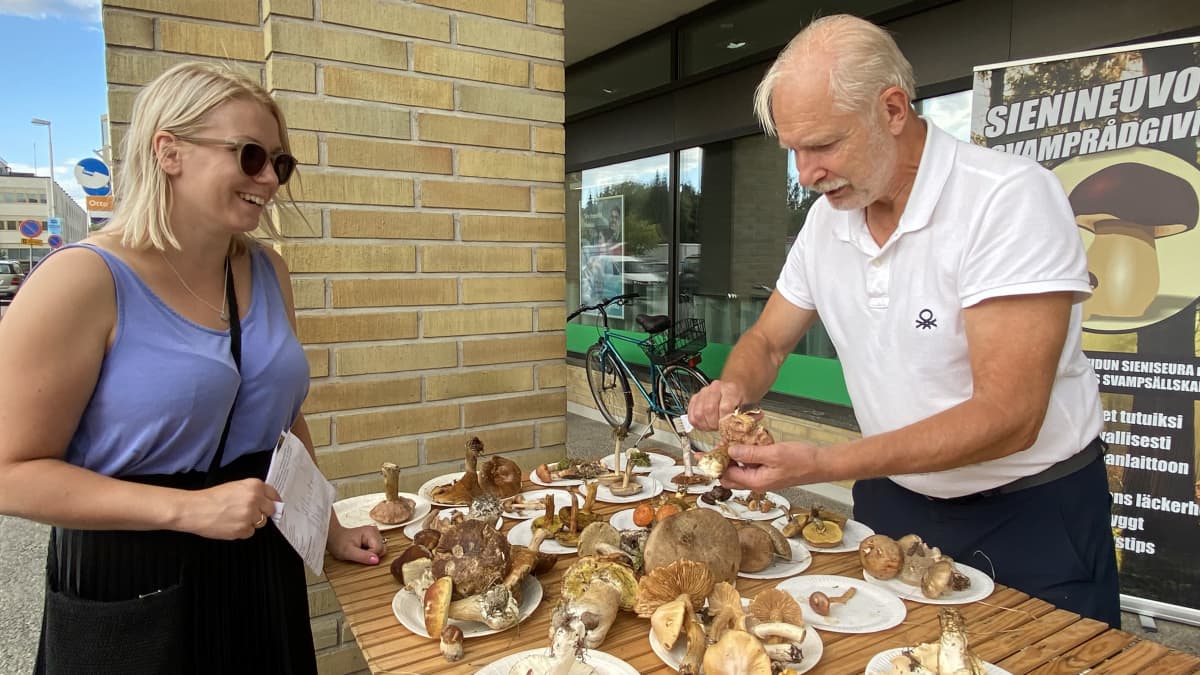 Kokkolanseudun sieniseuran pöydällä on erilaisia sieniä. Kenneth Bergroth opettaa sienten tunnistamista.