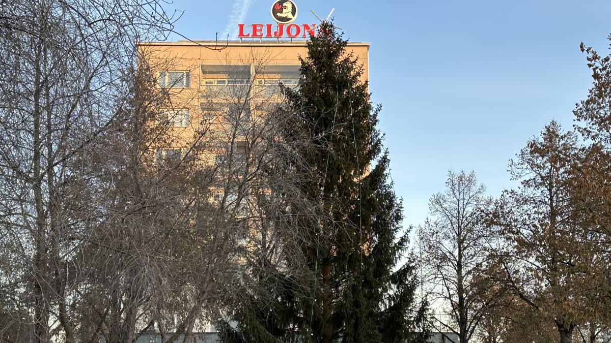 Kuvassa on LC Oulu-Terwan pystyttämä joulukuusi Oulun Tuirassa.