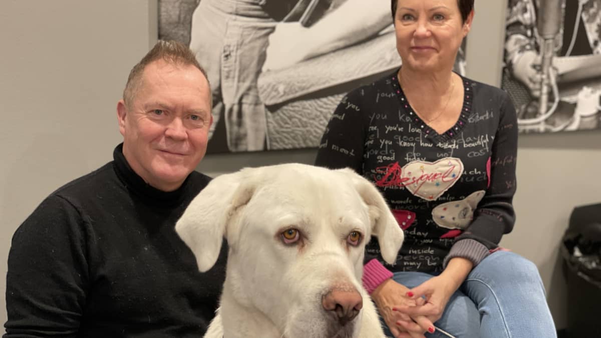 Matti ja Marja-Liisa Kuosmanen Aku-koiransa kanssa.