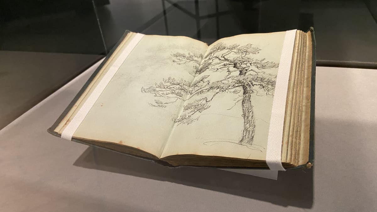 Maisemamaalari Berndt Lindholmin luonnoskirja 1870-luvulta avattuna kohdasta jossa on luonnosteltuna puu.