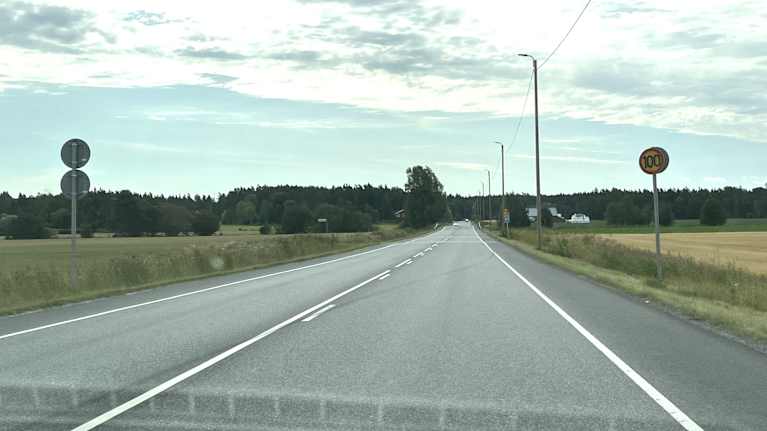 Kesäinen maantie, jonka laidassa näkyy 100 km/h nopeusrajoitus.