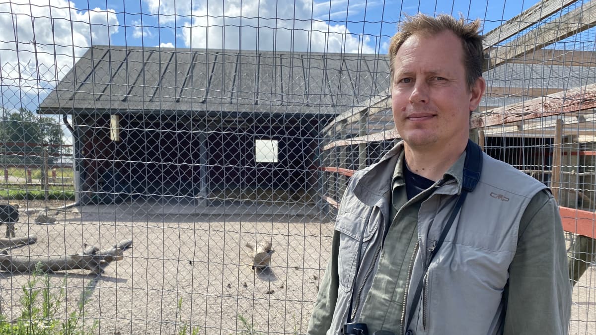 Lintuharrastaja Mikko Salonen oli tullut Haltialan kotieläintilalle bongaamaan Suomessa harvinaista palmukyyhkyä.