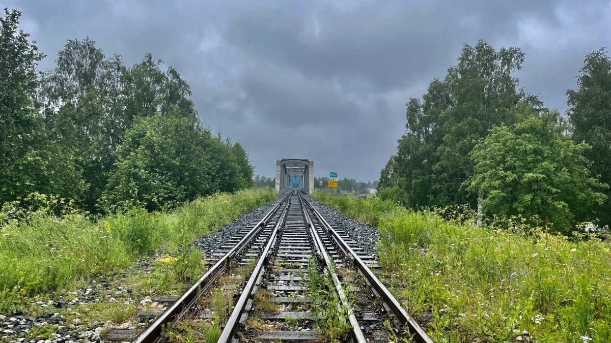 Junakiskot ja silta.
