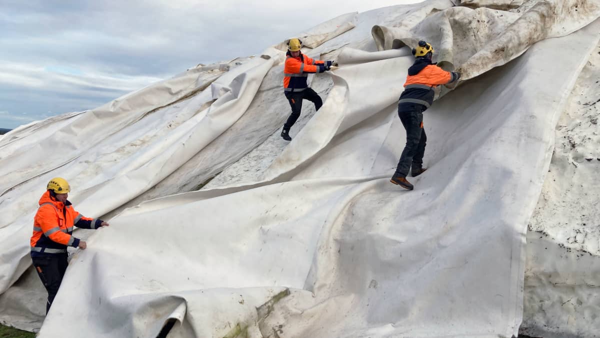 Levi Ski Resortin työntekijät purkavat viiroja säiölumikinosten päältä.