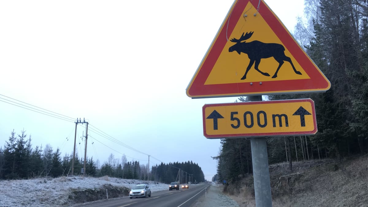 Hirvistä varoittava liikennemerkki valtatie 23:lla Kankaanpäässä.