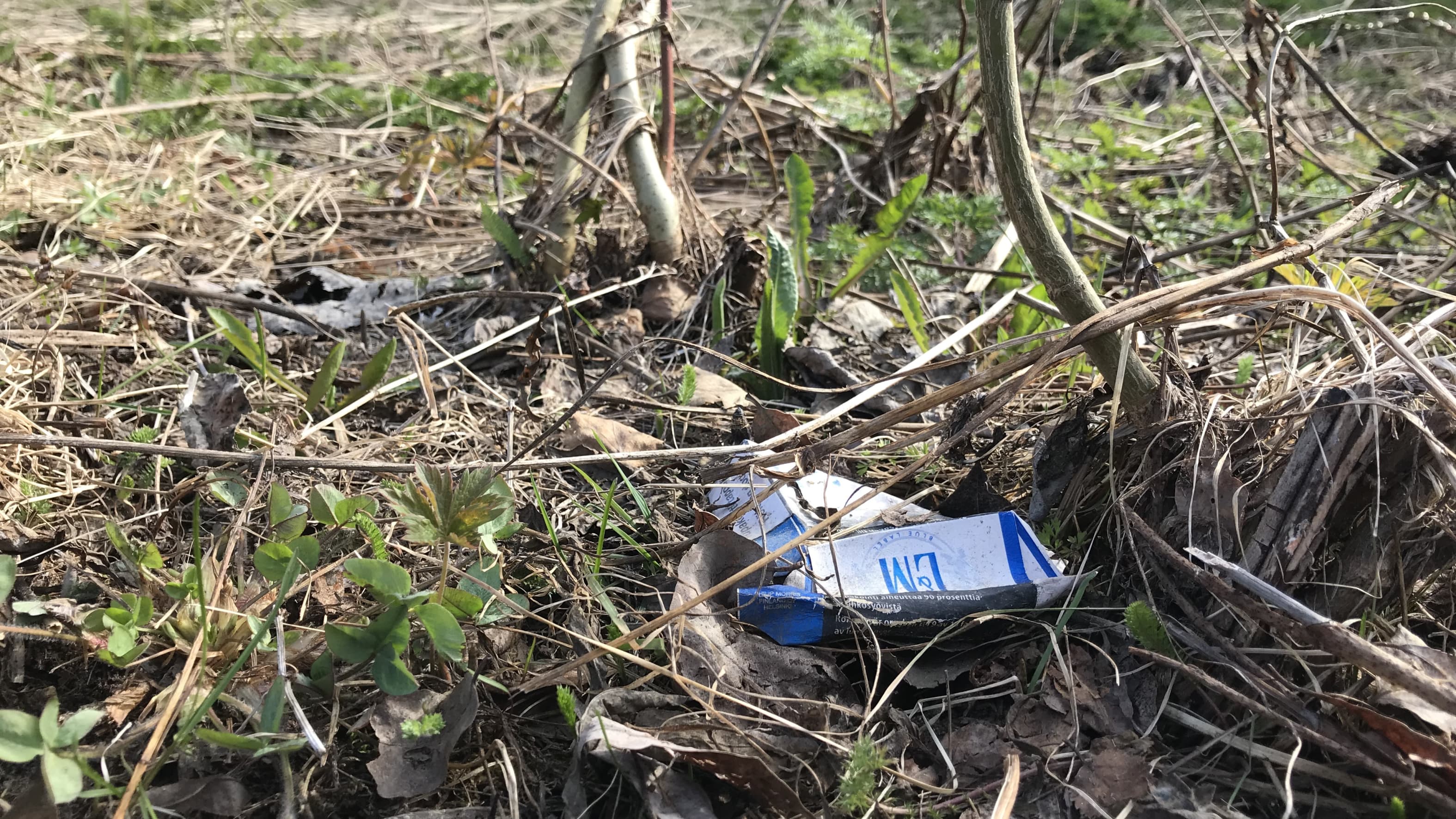 39-5662375cebca1841f64