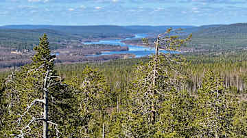 Näköala tunturin huipulta avautuu laajan metsämaiseman ylle, jossa sininen joki kiemurtelee halki vehreän erämaan.