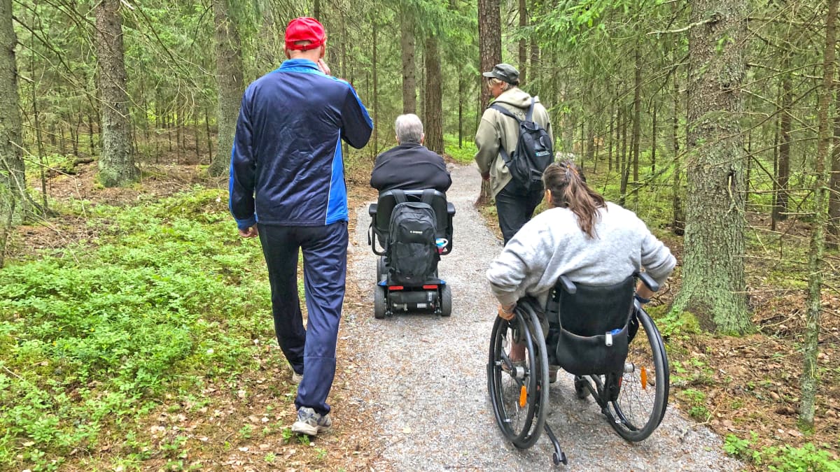 Retkeilijöitä liikkuu pyörätuolilla ja kävellen metsäpolulla