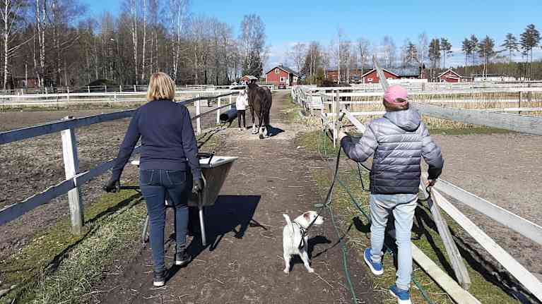 Kvinnor och häst