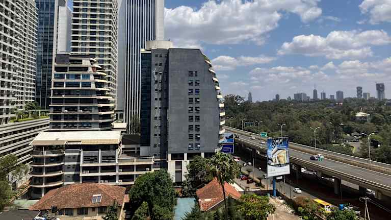 The cityscape has apartment buildings and an elevated highway.