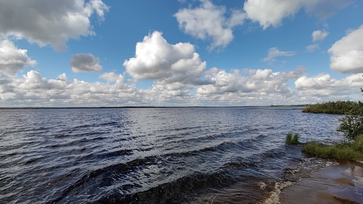 Maisema Iitin Oijärveltä. Kumpupilviä järven yllä- 