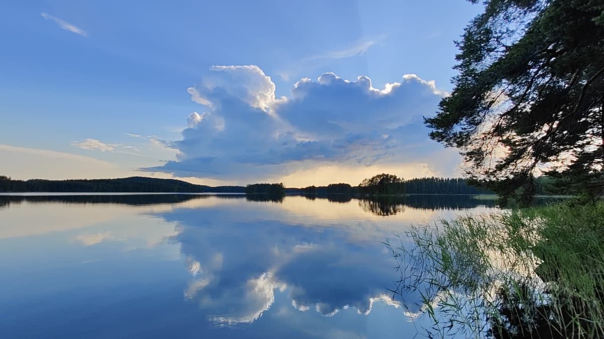 Kuvassa näkyy järvimaisema.