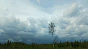 Tummia kuuropilviä metsän takana.