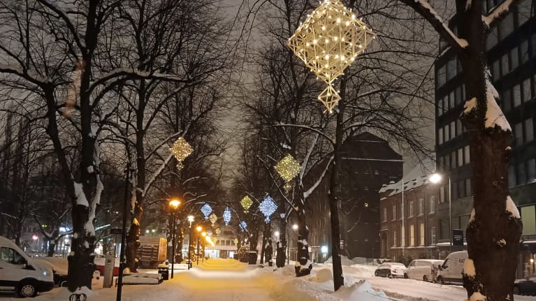 Talvinen puistikko, puissa jouluvalot.