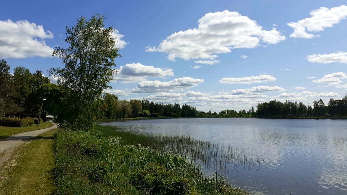 Jalasjärvi 9.6.2023. Aurinkoinen päivä. Hiekkatie järven rannalla. 