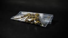 Kannabiskasvin kukintoa mustalla taustalla.