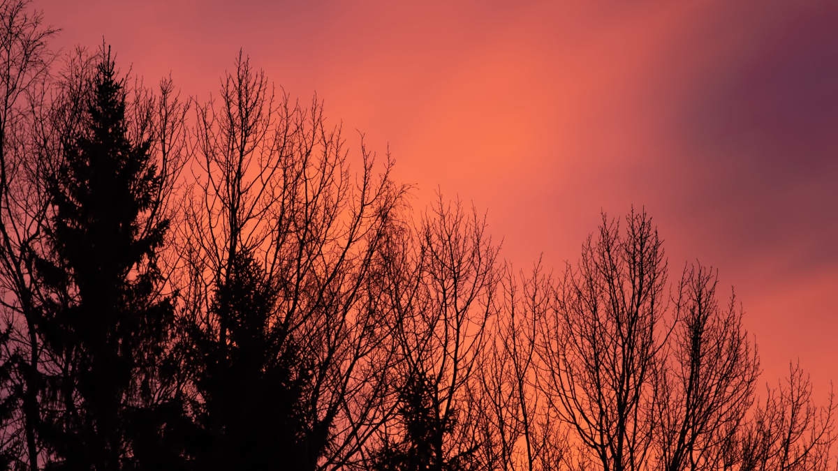 Auringonnousu Pietarsaaressa Pirkko Hautamäen kuvaamana 14.1.2020