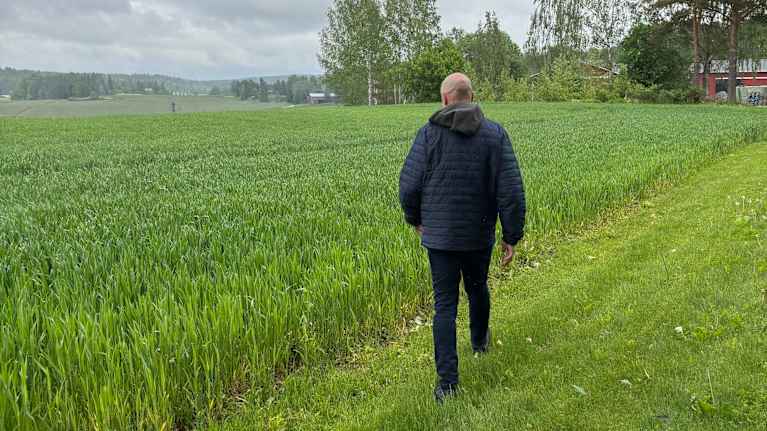 En man går längs med kanten av en grön åker under en molnig himmel. 