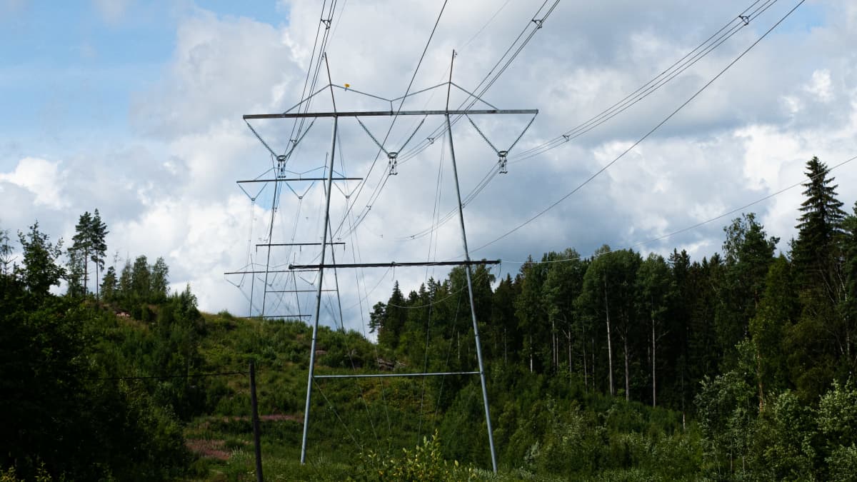 Suurjännitelinjat halkoo metsää.