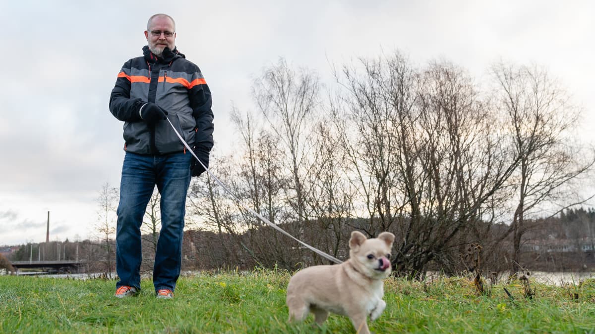 Jari Lindströn ulkoiluttamassa Nani-koiraa