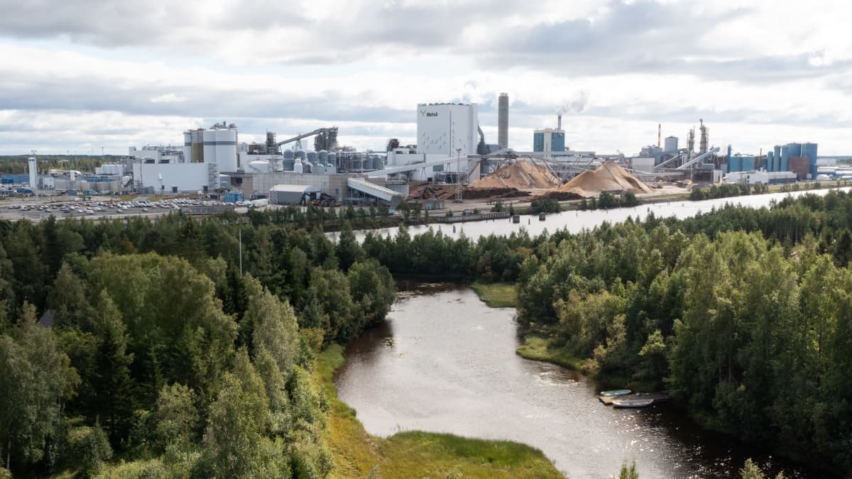 Metsä Fibren Kemin tehdasalue elokuussa 2023. Kuvassa ovat muun muassa uusi ja vanha soodakattila. Edustalla metsää ja Majaputaan uomaa.