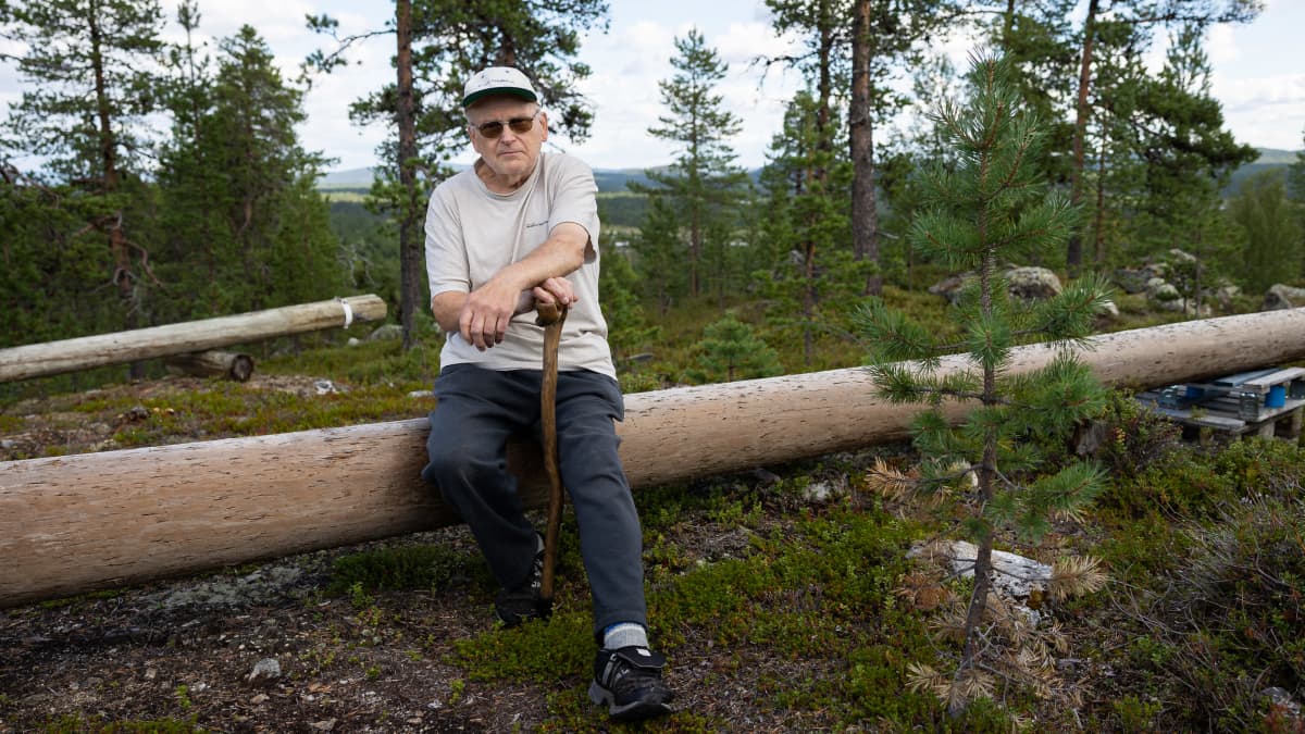 mies istuu pöllin päällä