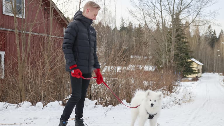1-tyypin diabeetikko Anton Strömmer koiransa Rasmuksen kanssa Kuusankoskella 20.12.2021