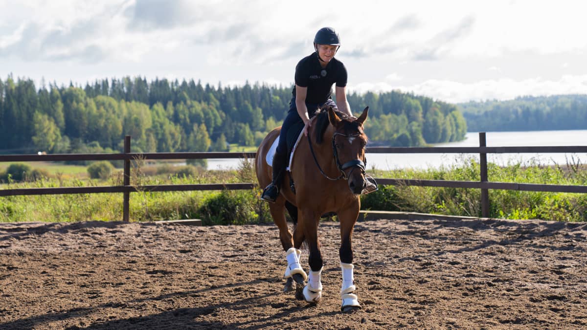Kenttäratsastaja Arvi Martikainen ratsastaa Veikka-hevosella Orimattilassa.
