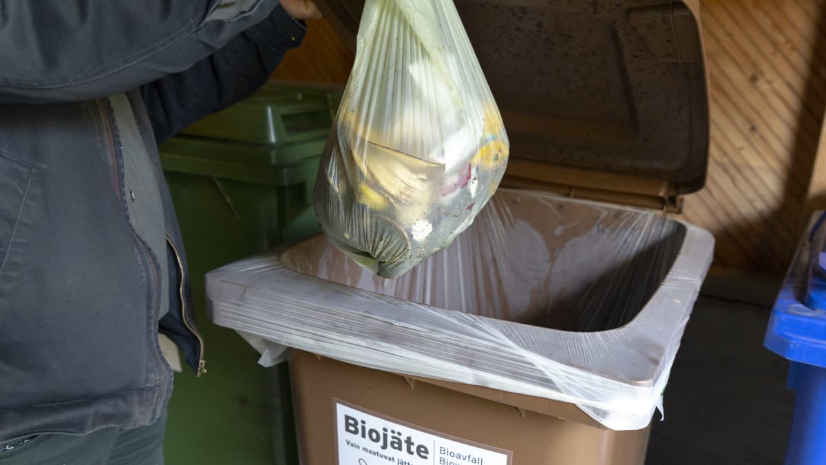 Biojätepussi menossa biojäteastiaan.