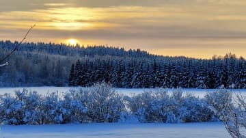 Talvinen maisema. Peltoa, lunta ja metsää. Aurinko häämöttää pilviverhon takana. 