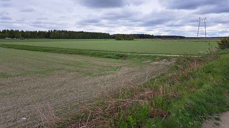 Åkrarna i den här delen av Tölby är invallade för att undvika översvämning.