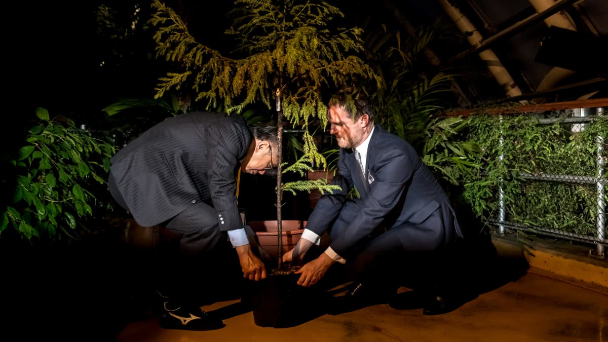 Prahan pormestari Zdenek Hrib ja Taipein pormestari Ko Wen-je istuttavat puuta Prahan kasvitieteellisessä puutarhassa.