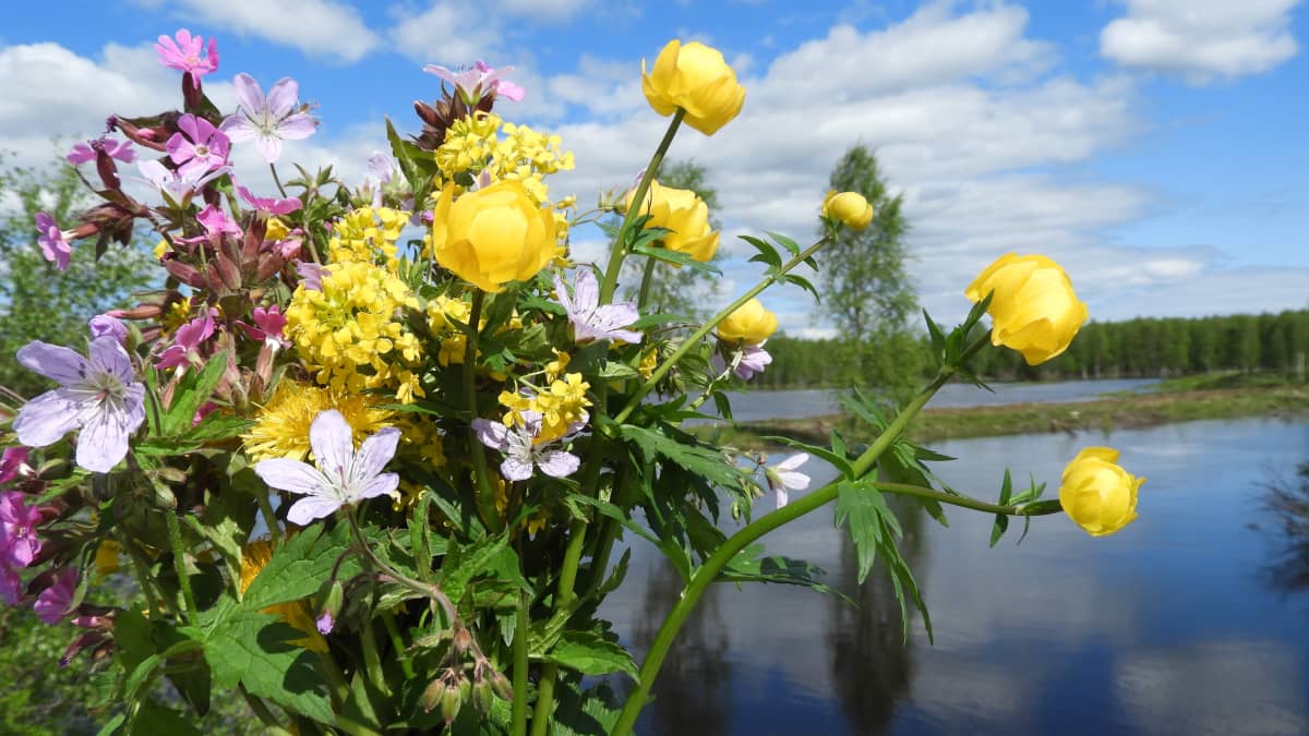 Kukkakimppu kesäisenä päivänä. Taustalla pilven hattaroita ja joki. 