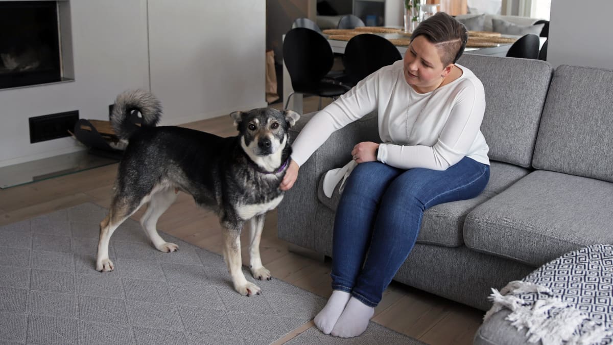 Juvalainen Anna-Mari Hangas-Tuovinen silittää koiraa etätyöpäivänsä ohessa.