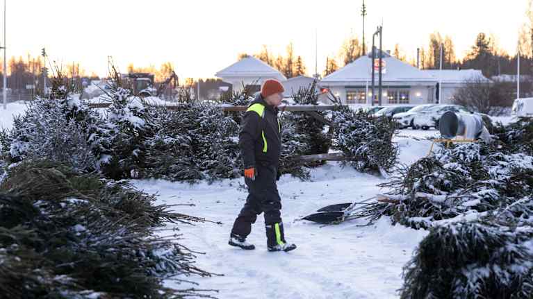 En person går bland en stor mängd julgranar på en snötäckt parkeringsplats.