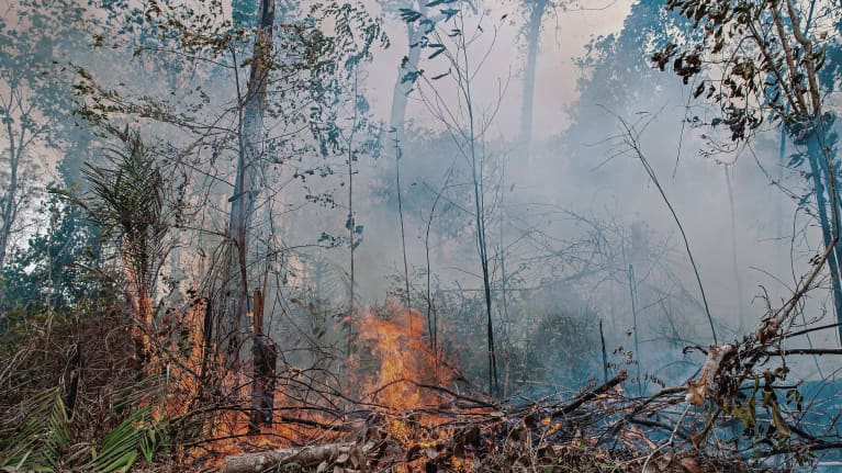 Metsäpalo Jacundan kansallispuistossa Brasiliassa syyskuussa 2019.