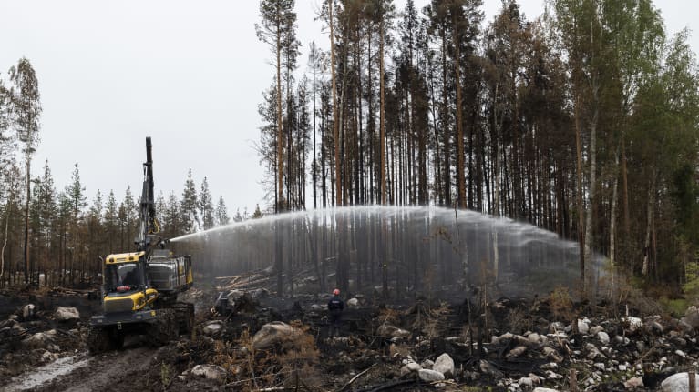 En traktor sprutar vatten in i den uppbrunna skogen.